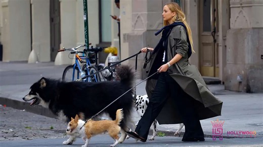 Jennifer Lawrence Filming Commercial with Dogs