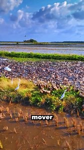 Spiritual Revolution on Reels