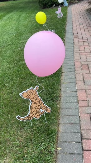 Winnie the Pooh First Birthday Celebration