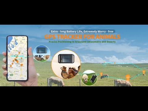【WE-GT080】Unboxing, Usage and Installation Instructions for GPS Trackers for Cattle and Sheep