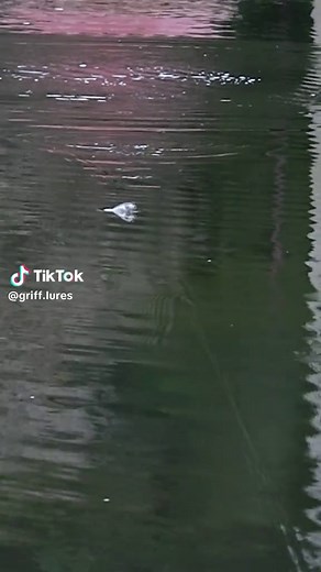 Classic Floating Stickbait for Topwater Fishing