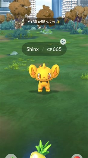 Catching shiny ✨ Shinx #mobilegaming#games #augmentedrealitygame#pokemon#gobattleleague#pokemongame