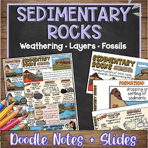 Sedimentary Rocks Doodle Notes, Quiz, and Slides | Types • Features • Formation