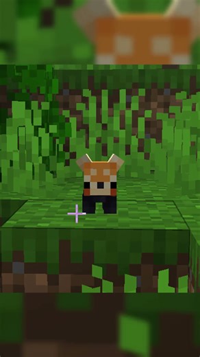 He saw the whole thing :(