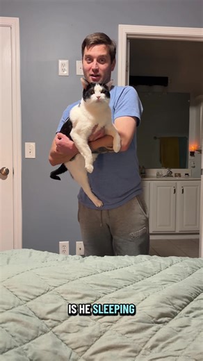 Goodnight Wonky Tribe