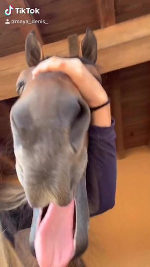 Maya Denis on TikTok