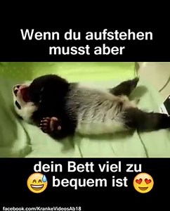 Wir heute morgen... | Yahoo Deutschland