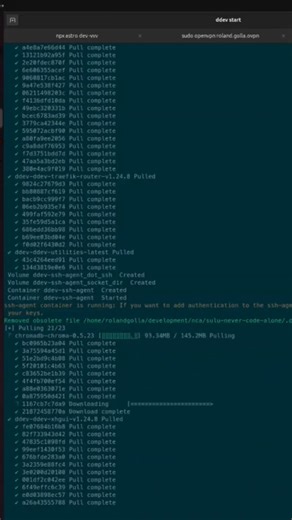 Install DDEV with ChromaDB as a vector database for Symfony AI projects