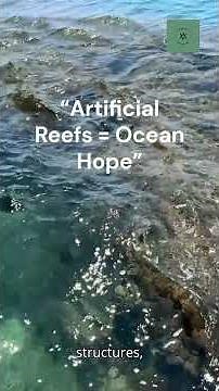 How Artificial Reefs Help Ocean Life Thrive