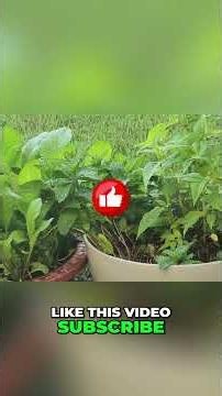 Lunar Gardening Secrets & Squirrel Shenanigans Revealed!