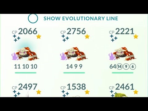 15 minutes spotlight our speed run go