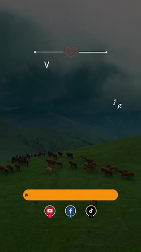 146K views · 10K reactions | Surah Al Imran A'yah 92 Urdu translation | Muhammad Sabir | Facebook