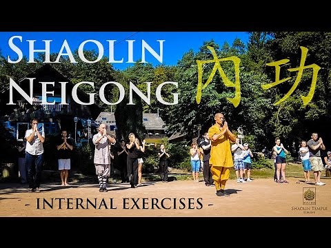 Shaolin Neigong (內功) · Internal exercises
