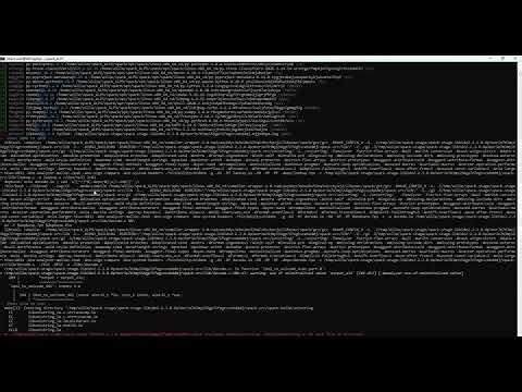 Spack Installation of ALPS (v2.3.4) in WSL