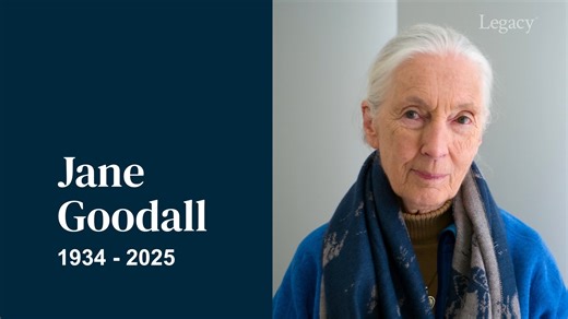 32K views · 664 reactions | In this episode, we take a brief look at the most recent headline obituaries and touching condolences, including pioneering scientist and conservationist Dr. Jane Goodall, Chichester City footballer Billy Vigar, Tuskegee Airman combat pilot George Hardy, prominent Reformed Baptist Voddie Baucham Ministries leader Voddie Baucham, and Pentangle bassist Danny Thompson. | Legacy.com | Facebook