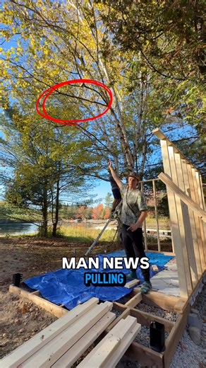 Tree Branch Vs Sauna | Man News IRL #mannews #irl #arborist #treebranch #thanksgiving | Andrew Packer
