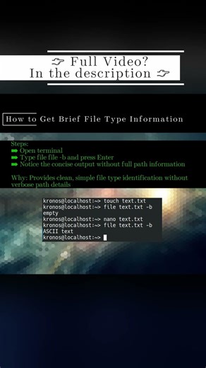 🐧 LinuxCLI 🐧 How to Get Brief File Type Information 🐧 #shorts #KGROSShorts