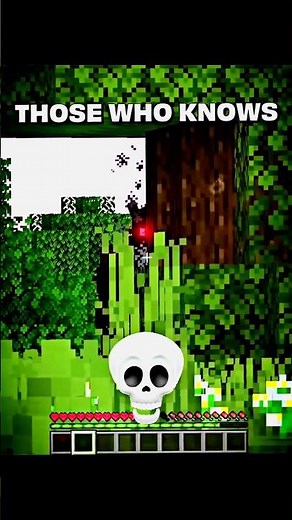 Proboiz Scary Moment in Minecraft