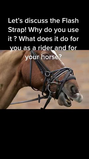 Understanding the Controversial Flash Strap: Usage, Purpose, and More