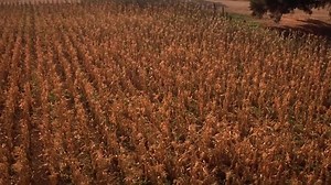 Jeepers.Creepers.2.2003