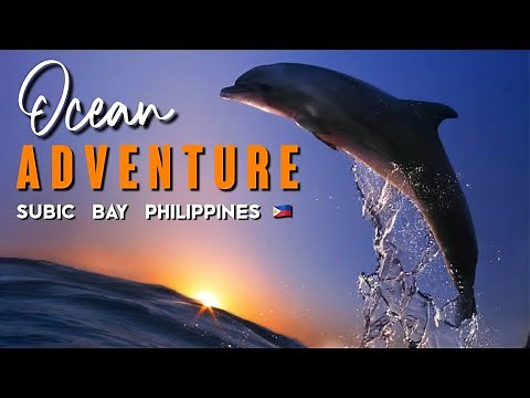 OCEAN ADVENTURE Subic Bay Philippines 🐬🦭🦉