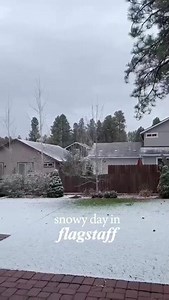 Snowy day in Flagstaff