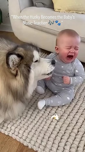 3.7K views · 235 reactions | At first the baby was crying… then the...