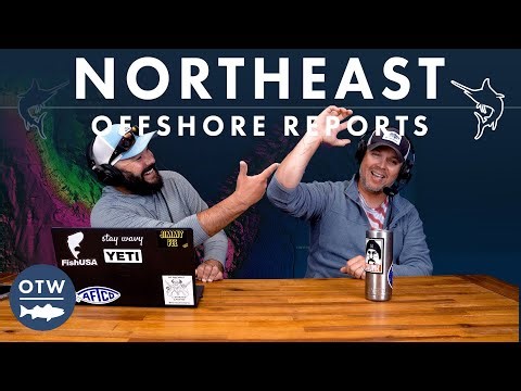 Fall Tuna MAYHEM | Northeast Offshore Fishing Report September 24, 2025