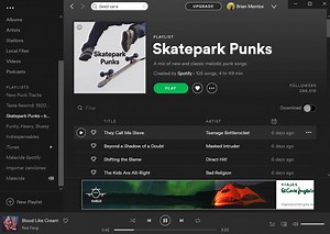 Download From Spotify To Pc