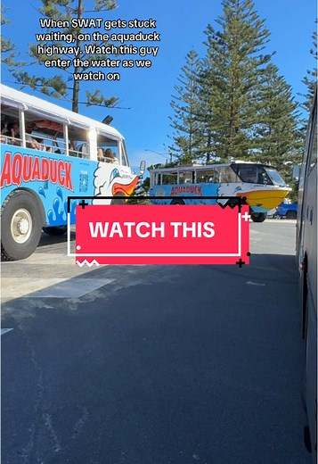 Experience the Fun of the Gold Coast Party Bus