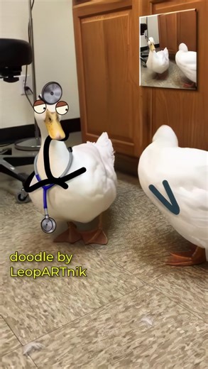 126K views · 5.2K reactions | 喙 Ducktor and a Patient 喙 (Sound On...