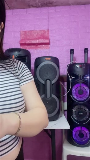 BK-8866 Karaoke Party Speaker: Ultimate Entertainment