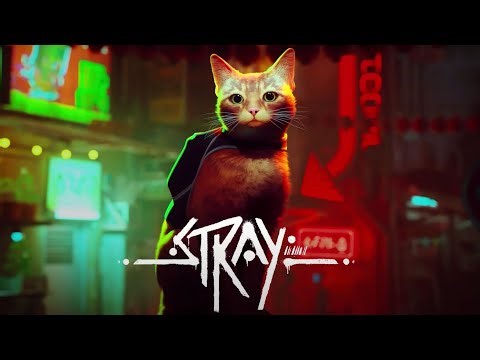 🔴STRAY ( Mr.Kitty ) | LIVE with Eenoo