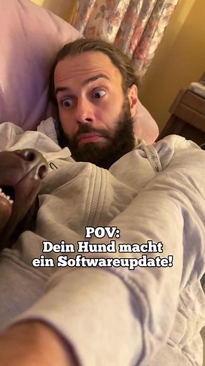 Typischer Tag als DogDad?!😭😂 Windows XP war dann doch bisschen alt… Wer kennt’s? #dogdad #labrador #hund #dog | Djanekira