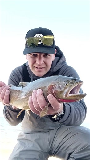 You need to fish stillwater!