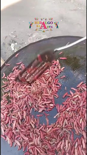 724K views · 11K reactions | Que tal unos chinicuiles suculentos Para quien aun no los a probado, son gusanos de maguey(plaga), y tienen un sabor, peculiar , que a la mayoría de los hidalguenses les encanta. #gastronomia #hidalgoesarte #chiniquiles | 푯풊풅풂풍품풐 푬풔 푨풓풕풆 | Facebook