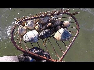 Clamming Catch and Cook: EASY Baked Clam Recipe!