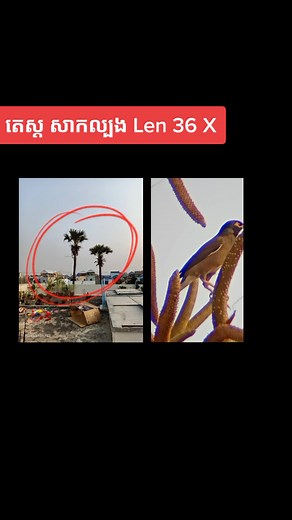 test Len 36 X with Oppo phone camera 📸