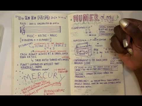 Numerology 101: The Frequency of Holiness and Wickedness 📞