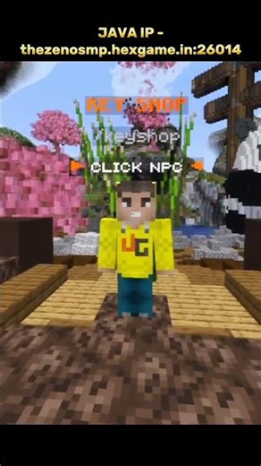 💀Join Best Public Lifesteal Smp Server For Minecraft🎈| Java/Pe/Pojav | 24/7 Online | No Land Claim 😁