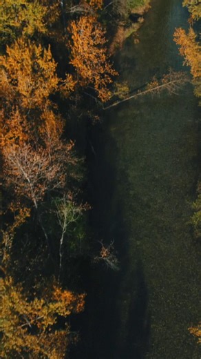 Just keep swimming, just keep swimming! 🐟🐟 The annual salmon run is happening at the river, which means the salmon have returned to spawn. If you're on the Traboulay Trail along the river, you may be able to spot them. Follow the tips below so the salmon are able to spawn safely. 🐟 Be sure to keep your dogs leashed if you have them along the trail so they do not disrupt this migration or harm any of the salmon 🐟 Stay out of the river 🐟 Do not throw rocks/sticks into the river 🐟 Approach qu