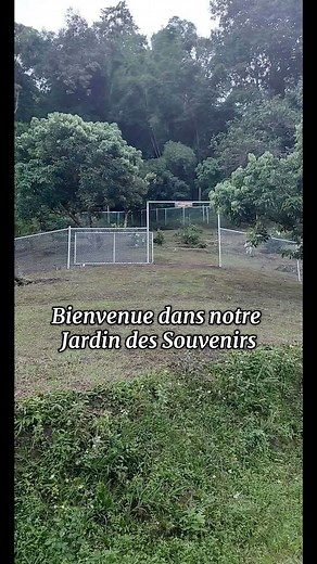 5K views · 138 reactions | Bienvenue dans notre Jardin des Souvenirs....