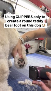 This is a BEGINNER dog grooming technique! Dog groomers with more advanced skill level do not need to use this technique UNLESS the dog is too wiggly or doesn’t like having his feet fondled. I’m using a 40 setting on my Wahl Bravura clipper. I always neatly remove the hair from inside the dogs paw pads first. Trim the dogs nails, and then use my clipper to reduce scissor work. With this technique you only need a clipper and a 40 blade. If you like helpful tips like this hit follow, comment if yo