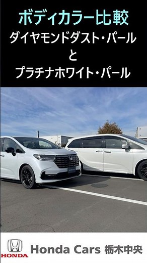 ダイヤモンドダストパールとプラチナホワイトパールを比較してみた #shorts