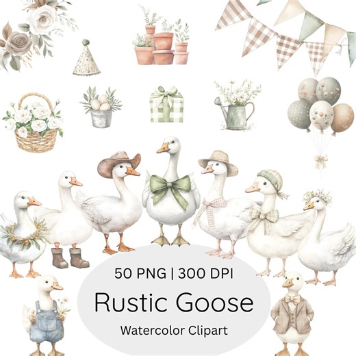 Watercolor Rustic Goose Clipart, Whimsical Cute Goose PNG, Silly Goose Clipart, Spring Vintage Cottagecore, Nursery Decor, Baby Shower Art - Etsy