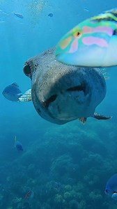 126K views · 2.1K reactions | Open wide and say aaahh! What happens...