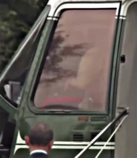 Police Showdown: The Funniest Fight in Town! - NewsBreak