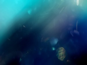 Light Flares 14 | Life Scribe Media