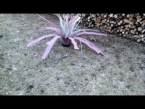 self opening pvc artificial fish habitat