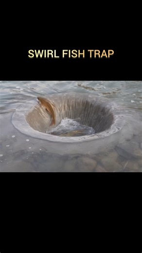 whirlpool Fish Trap #whirlpool #fish #fishing #fishtrap